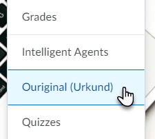 Selecting Ouriginal (Urkund) link from Course Tools menu